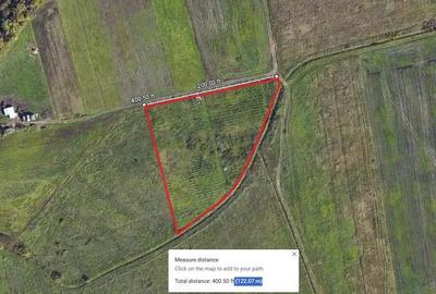 Teren de 10000 mp, în Ghiroda - 2