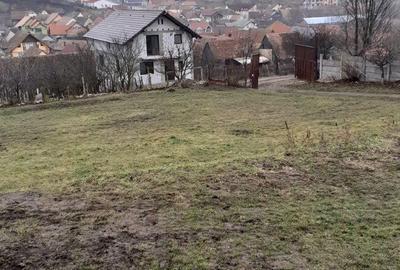 Spațiu comercial, de 3,600 mp, în Șura Mare - 6