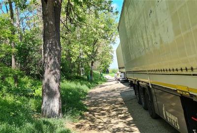 Teren intravilan de 2500 mp, în Drăgușeni - 3