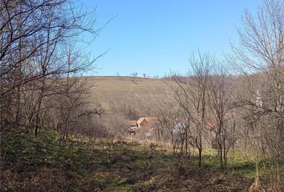 Casă cu 2 camere cu Teren 1439 Mp în Brădișoru de Jos - 7