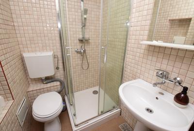 Garsonieră mobilată, Iacob Felix - Piața Victoriei - 11