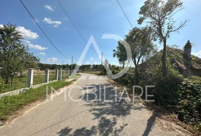 Teren intravilan de 3500 mp, în Drăguțești - 10