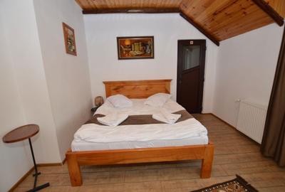 Casă cu 4 camere în Râu Sadului - 1