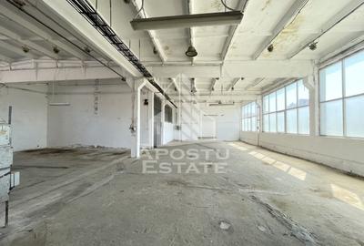 Spațiu industrial, de 470 mp, în Buziașului