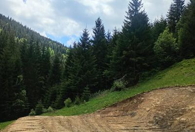 Teren de 3100 mp, în Muntele Băișorii - 5