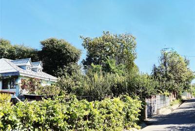 Casă cu 3 camere în Dancu - 12