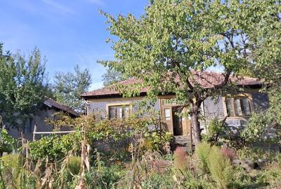 Casa batraneasca cu teren in Nehoiu, Buzau Casa batraneasca cu teren in Nehoiu, Buzau - 3
