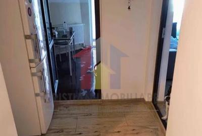 Ap. 2 camere, conf 1, Vidin, etaj 1, mobilat si utilat, reno - 3