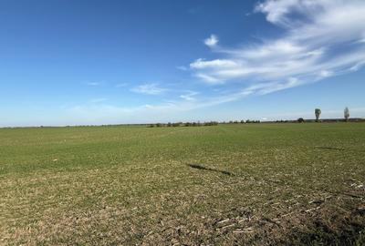 Teren Intravilan Branesti 4500mp Acces Asfalt si A2- deschidere 22ml - 4