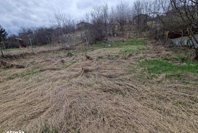 Teren de 584 mp, în Apahida - 3