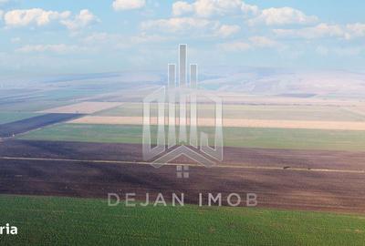 Teren de 5 mp, în Moacșa - 2