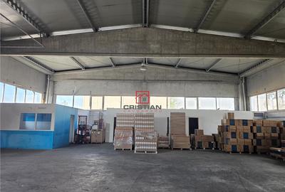 Depozit/hala/spatiu industrial Domnesti - Clinceni - Bragad - 7