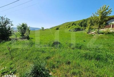 Teren de 5000 mp, în Viișoara - 2