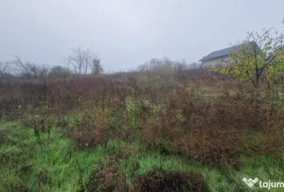 Casă cu 4 camere cu Canalizare în Mineri - 4
