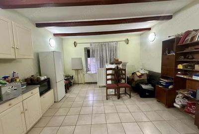 Proprietate mixta de vanzare locuin?a + hala Ta?nad, SM - 4