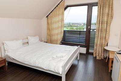 Casă individuală cu 11 camere cu Piscina în Apateu - 38