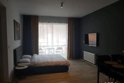 Apartament cu 2 camere decomandat în Sinaia - 9