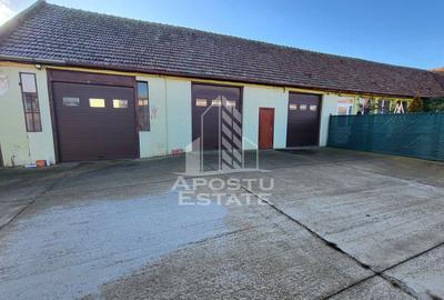 Casa individuala,independenta energetic, 5 camere,teren3783,Peciu Nou - 28