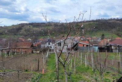 Casă cu 5 camere cu Teren 1579 Mp în Central - 8