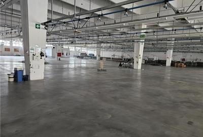 Spatii Industriale - 8000 mp - Productie - Depozitare - Office