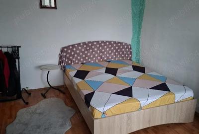 Garsonieră decomandată în Băjani - 1