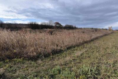 Teren de 3000 mp, în Iris - 3