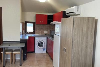 Garsonieră nedecomandată în Ghiroda - 3