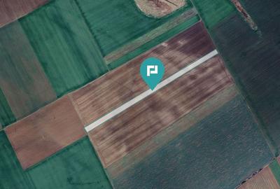 Teren 30.000 mp la drum asfaltat – Peciu Nou - 4