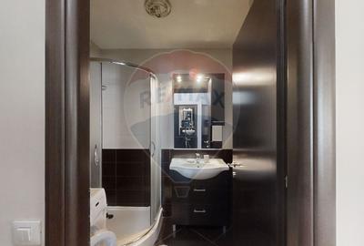 Apartament 3 camere - de inchiriat în zona Aviatiei - Herastrau - 5