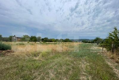 Parcele de teren intravilan de vanzare zona ?i?e?ti, - 3