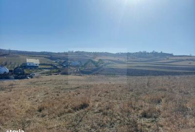 Spațiu comercial, în Oglinzi