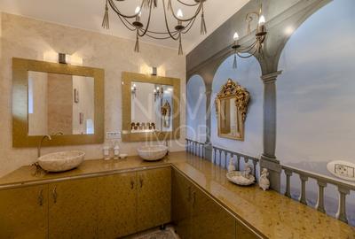 Casă individuală cu 9 camere cu Piscina în Sub Arini - 44