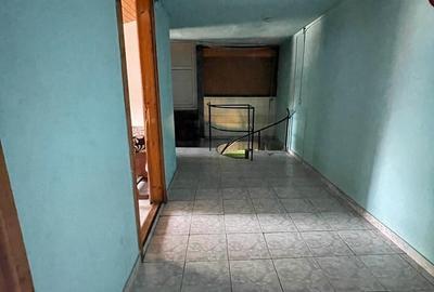 Casa individuala Brancoveanu- Nitu Vasile-INVESTITIE - 17