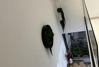 Casă cu 4 camere în Șelimbăr - 2