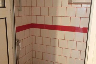 Spațiu comercial, de 500 mp, în Giroc - 7