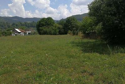 Teren în Stejaru (Pângărați) - 3