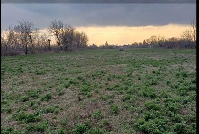 Spațiu comercial, în Suraia - 1