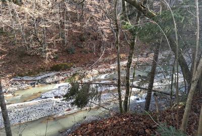 Teren intravilan de 693 mp, în Tarcău - 3