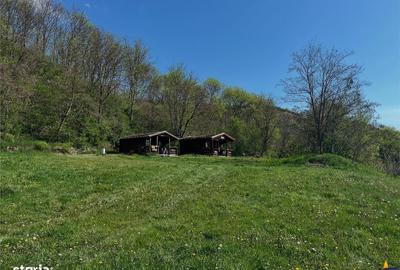 Spațiu comercial, de 636 mp, în Sânpaul - 12