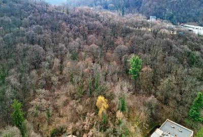 Teren Intravilan Centrul Civic - 27