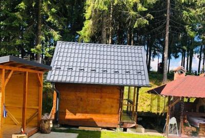 Casa de vacanta, 4 camere, 119 mp utili, 2300 mp de teren, M Casa de vacanta, 4 camere, 119 mp utili, 2300 mp de teren, M - 3