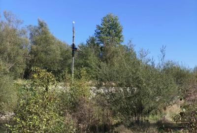 Teren de 7178 mp, în Frătăuții Vechi - 5