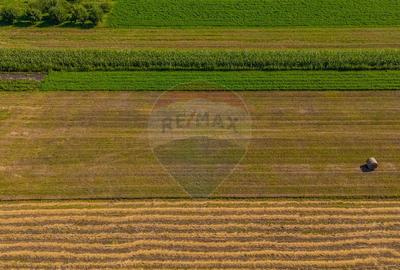 Teren de 3098 mp, în Stupini - 2