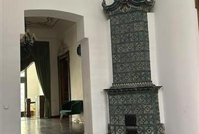 Casă cu 13 camere cu Teren 1686 Mp în Ultracentral - 3