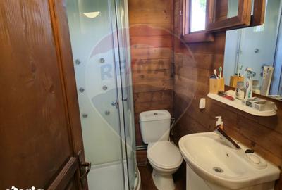 Casă cu 3 camere cu Teren 1268 Mp în Săpânța - 9