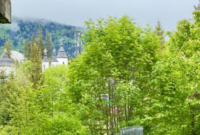 Vila vacanta Cheia - Prahova, pretabila pentru investitie - 44