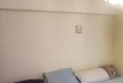 Apartament 3 camere confort 1 Calarasilor/Viziru - 9