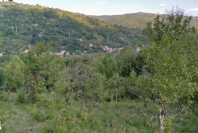 Teren de 18452 mp, în Moroeni - 2