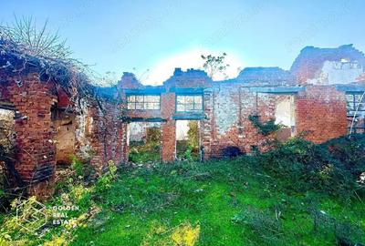 Teren intravilan 71.000mp, Barsa, Renumita Fabrica de caramida si casa 4 camere - 14