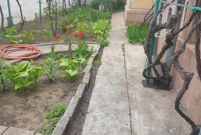 Casa pe sol, teren 330 mp, pretabila : cabinet, locuinta- zona Puskin - 1